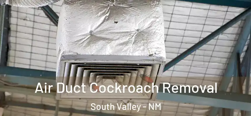 Air Duct Cockroach Removal South Valley - NM