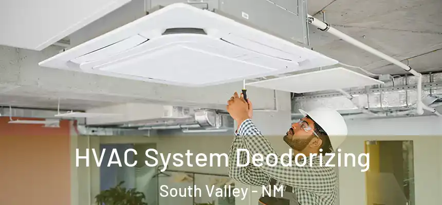  HVAC System Deodorizing South Valley - NM