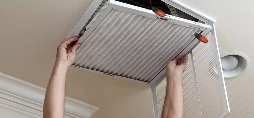 Our Insect Removal from Air Ducts Services in South Valley, NM