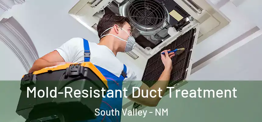  Mold-Resistant Duct Treatment South Valley - NM