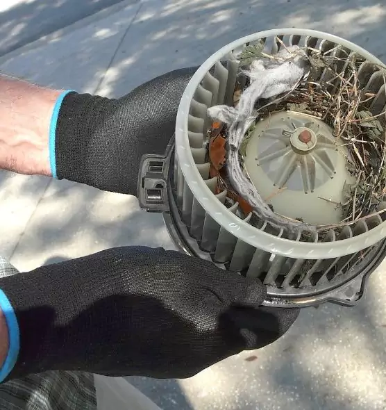 About Air Duct Rat Removal in South Valley, NM