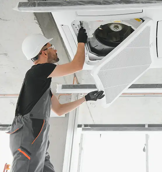 About Air Duct Rodent Removal in South Valley, NM