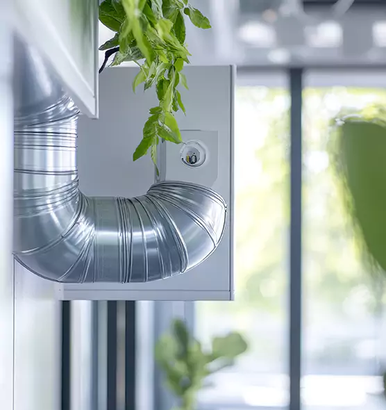 Professional Eco-Friendly Duct Cleaning Services in South Valley, NM